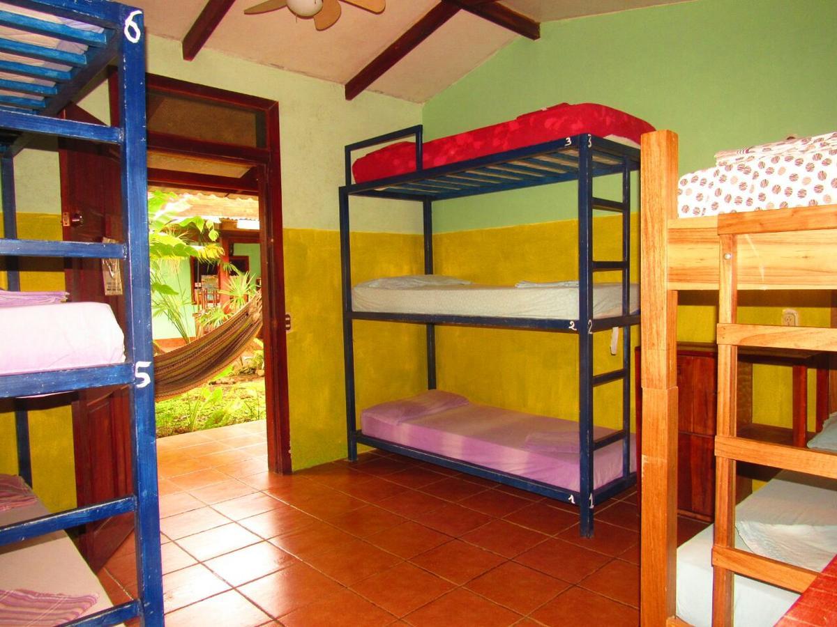 Hakuna Matata Hostel Cahuita Exterior foto